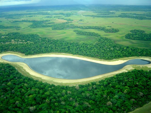 Baía no PANTANAL do Rio Negro